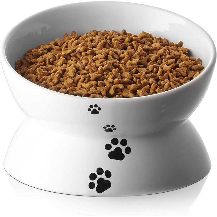 Cat food in on sale bowl